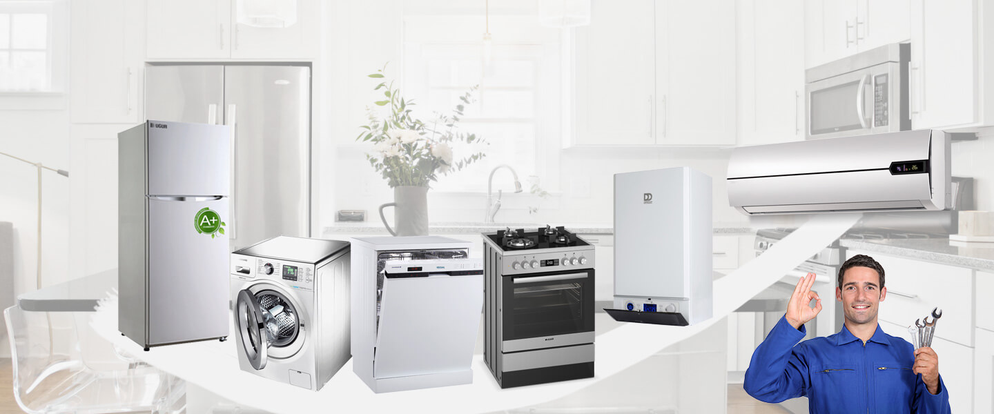 Karpuzlu Windsor Servisi